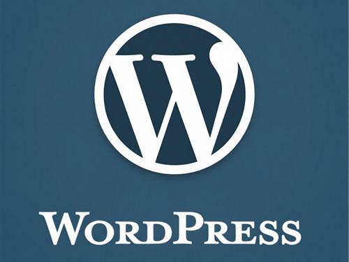 你使用过国外主题吗？为什么国外的WordPress主题很难用？